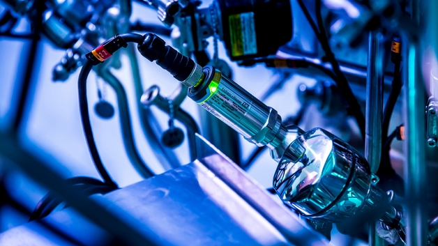 self-calibrating thermometers in hygienic processes