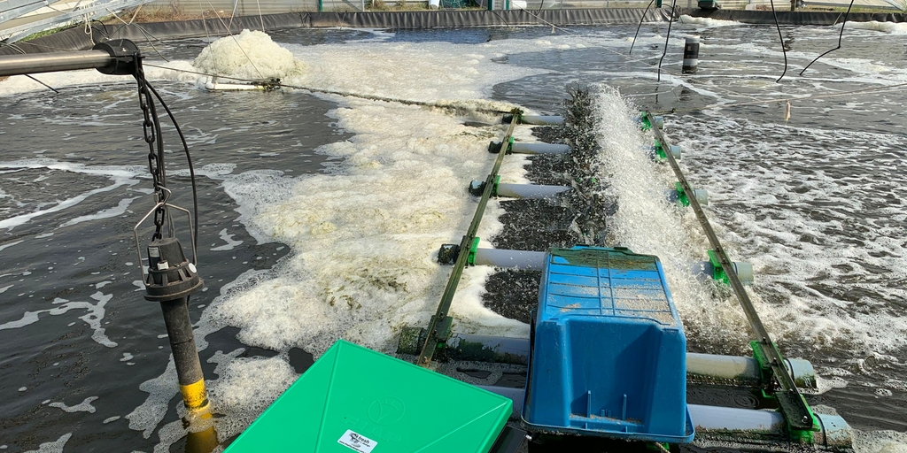Ideal product yield in prawn breeding with the help of an online water quality monitoring system Reliable water quality monitoring to ensure ideal product yield when growing prawns in aquacultures
