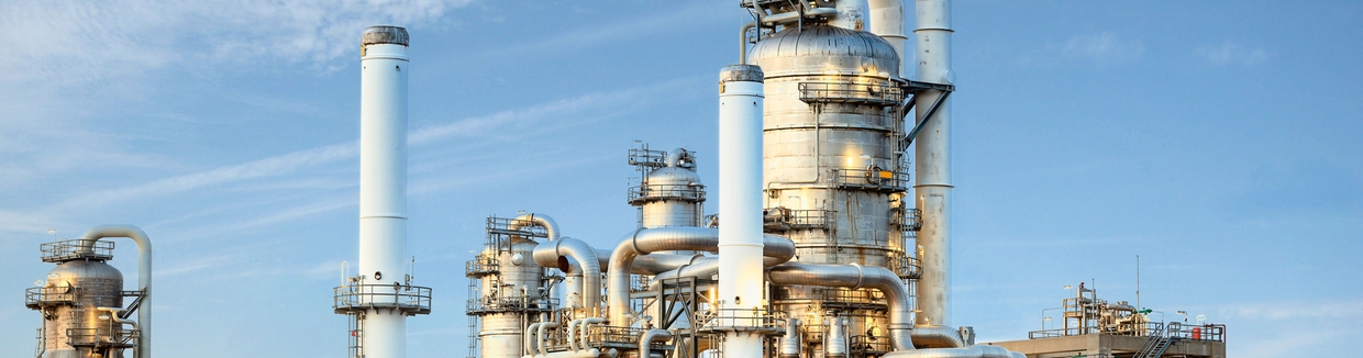 Minimize project risks in all phases by partnering with Endress+Hauser -Main Instrument Vendor (MIV)