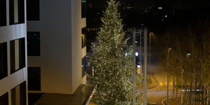 圣诞树即将点亮Endress+Hauser赖纳赫办公区